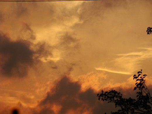 755069 (a): :2048x1536